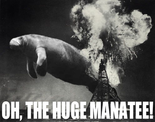 manatee.jpg