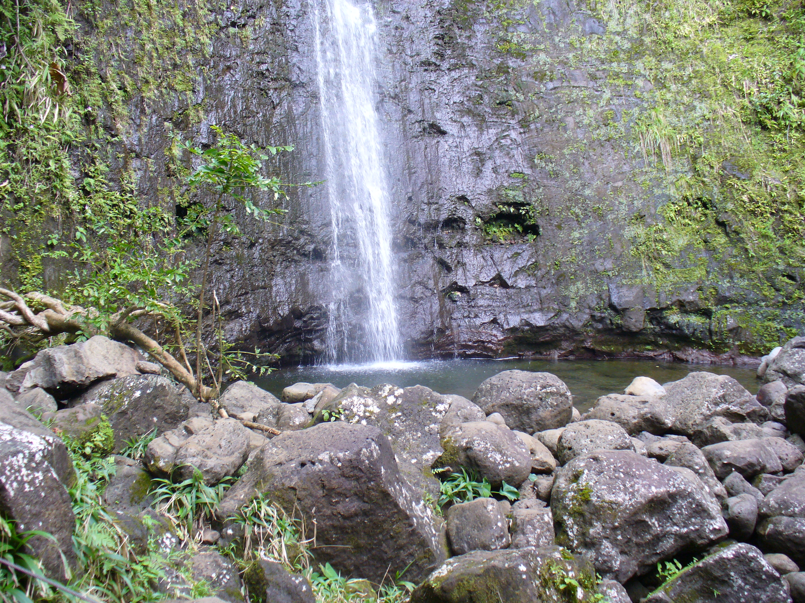 Hawaii 450.jpg