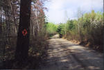 twisty_road_sign_2001_Headwaters.jpg