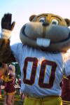 Goldy Gopher