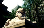 The_New_York_Public_Library_Lion.jpg