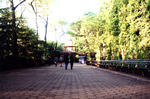 central_park_001.jpg