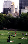 central_park_002.jpg