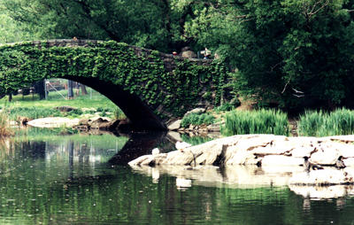 central_park_bridge.jpg