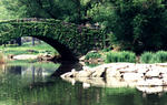 central_park_bridge.jpg