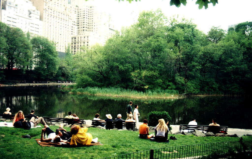 central_park_small_lake.jpg