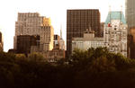 view_from_central_park.jpg
