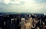 view_from_the_empire_state_building.jpg