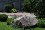 Boulder With Flowers