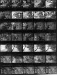 contact sheet 2.jpg