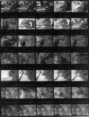 contact sheet 2.jpg