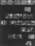 contact sheet 1.jpg