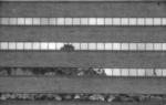 building from contact sheet.jpg