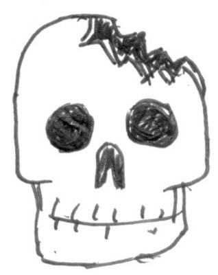 crackedSkull.jpg