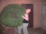 Cake Woman humps a tree