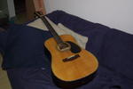 Acoustic Guitar