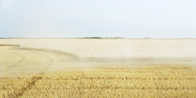 20070807_wheat-harvest02