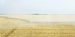 20070807_wheat-harvest02