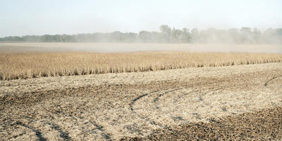 2008-10-soybean-harvest-001_panoramic