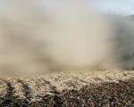 2008-10-soybean-harvest-004