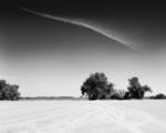 outwest-harvesttracks-clouds-8x10.tif