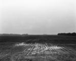 field_pinto_rain01.tif