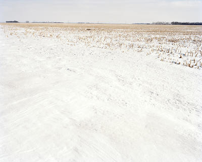 120-03-09_cornfield-easttif.jpg