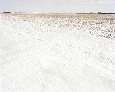 120-03-09_cornfield-easttif.jpg