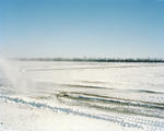 4x5-02-01_driveway-little.jpg