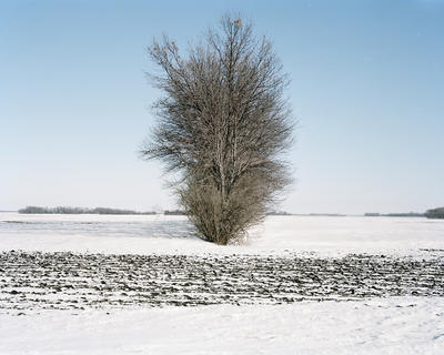 4x5-03-02_shelterbelt-grandmas.jpg