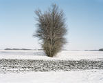 4x5-03-02_shelterbelt-grandmas.jpg