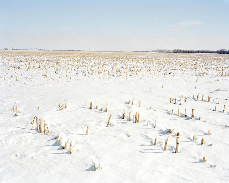 4x5-03-03_cornfield1.jpg