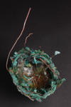 nest007.jpg