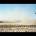 2008-10-soybean-harvest-003.jpg