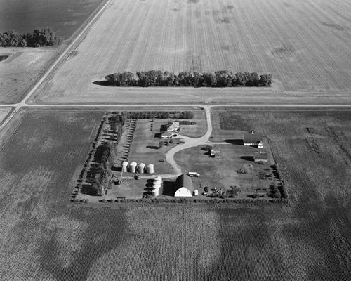 Christianson Farm, Cummings, ND, August 2007